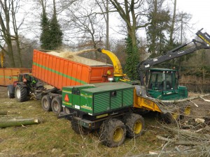 15-onderholt-houtsnippers-uit-landschapsbeheer