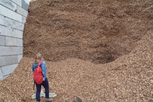 Houtsnippers bij een van de leveranciers van Bioenergie op maat.